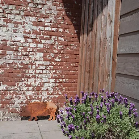 Aan Het Water Holiday home *