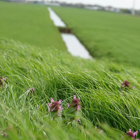Aan Het Water Nyaraló Rijpwetering