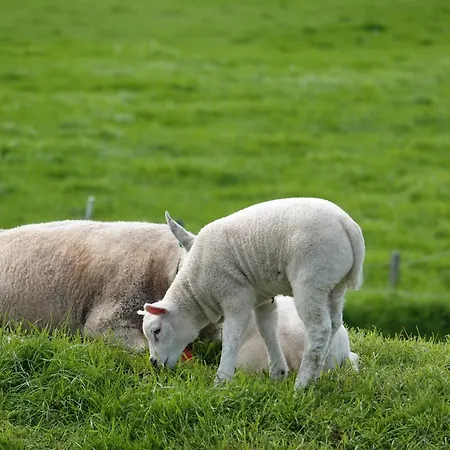 Prázdninový dům Aan Het Water Rijpwetering