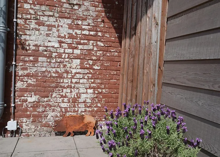 Aan Het Water Dom wakacyjny *